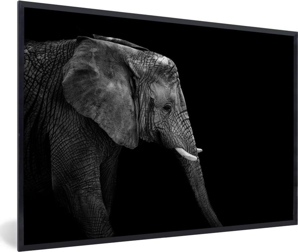 MuchoWow Gerahmtes Poster Elefant - Schwarz und weiß - Porträt - Tiere 60x40 cm - Poster mit Schwarzem Bilderrahmen Wandposter Rahmen Foto Bild...