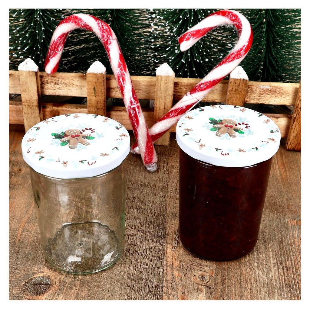 25er Set Sturzgläser 435 ml mit Twist-Off-Deckel in eisblau I Einmachgläser + TO 82 Deckel + Rezeptheft I Vorratsgläser zum Einkochen und Konser...