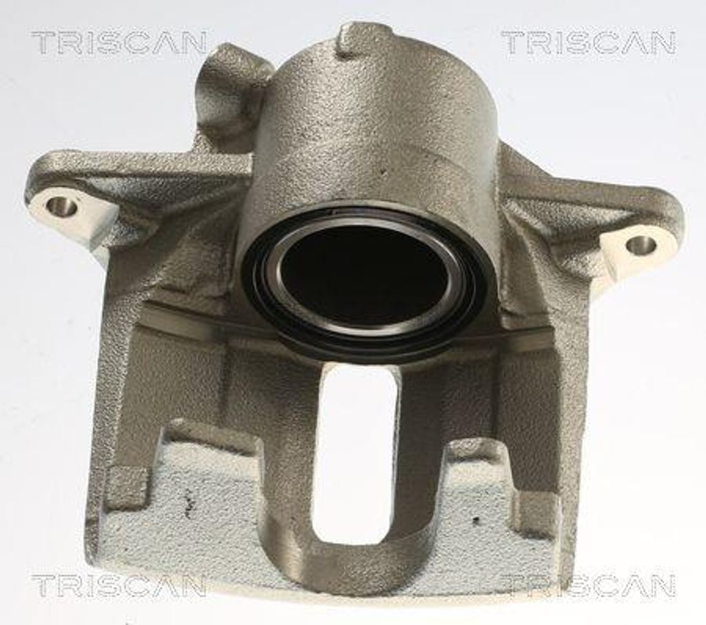 TRISCAN Bremssattel für RENAULT SCÉNIC II (JM0/1) Ø54mm 8175 25111