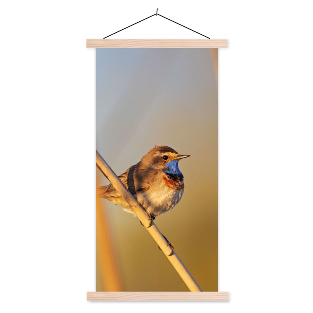 MuchoWow Textilposter Vögel - Blaukehlchen - Schilf 40x80 cm mit holzfarbenen Rahmen - Wohnzimmer