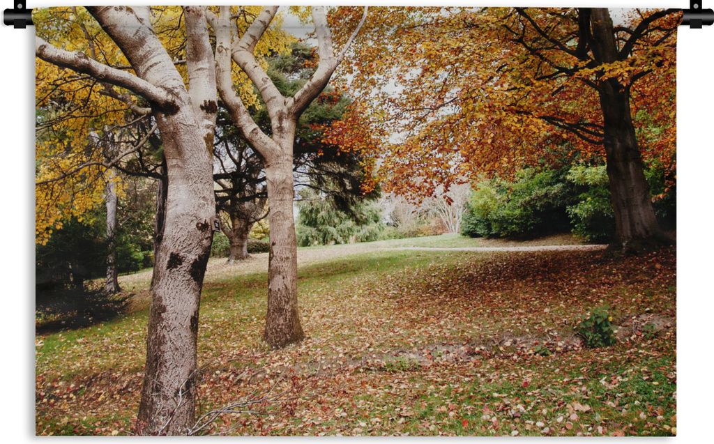 MuchoWow Wandteppich Wandbehang Herbst - Bäume - Laub - Natur 120x80 cm Tapisserie Dekoration Wandtuch - Wanddekorationen - Wandtücher