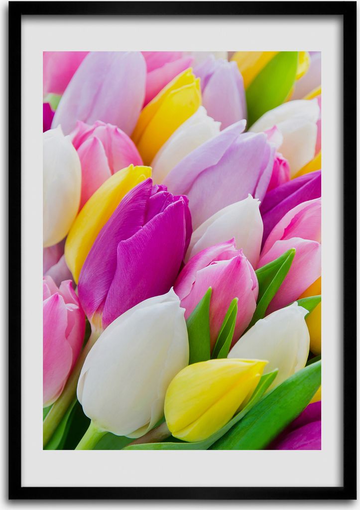 Bild - Bilderrahmen - Foto - 70 cm x 100 cm - MDF - Rahmen - Wandkunst - Bunte Tulpen