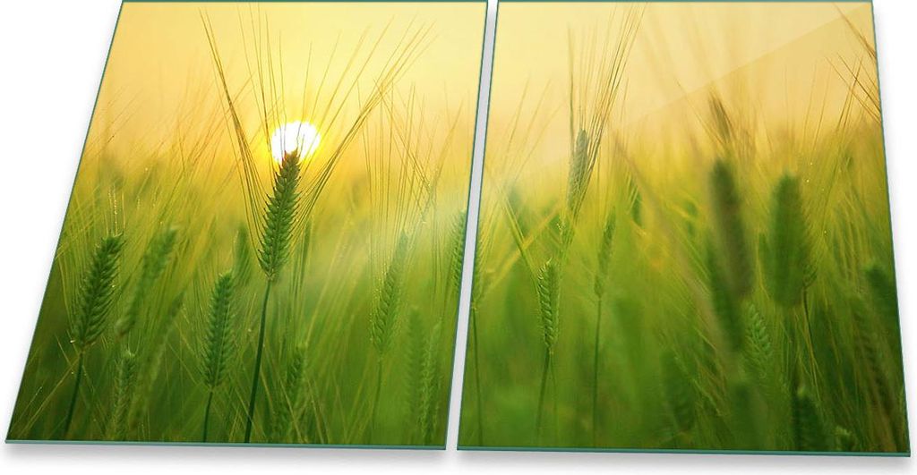 Herdabdeckplatte Glaskeramik 2-Teilig 2x40x52 Natur Grün Abdeckung Spritzschutz Glas