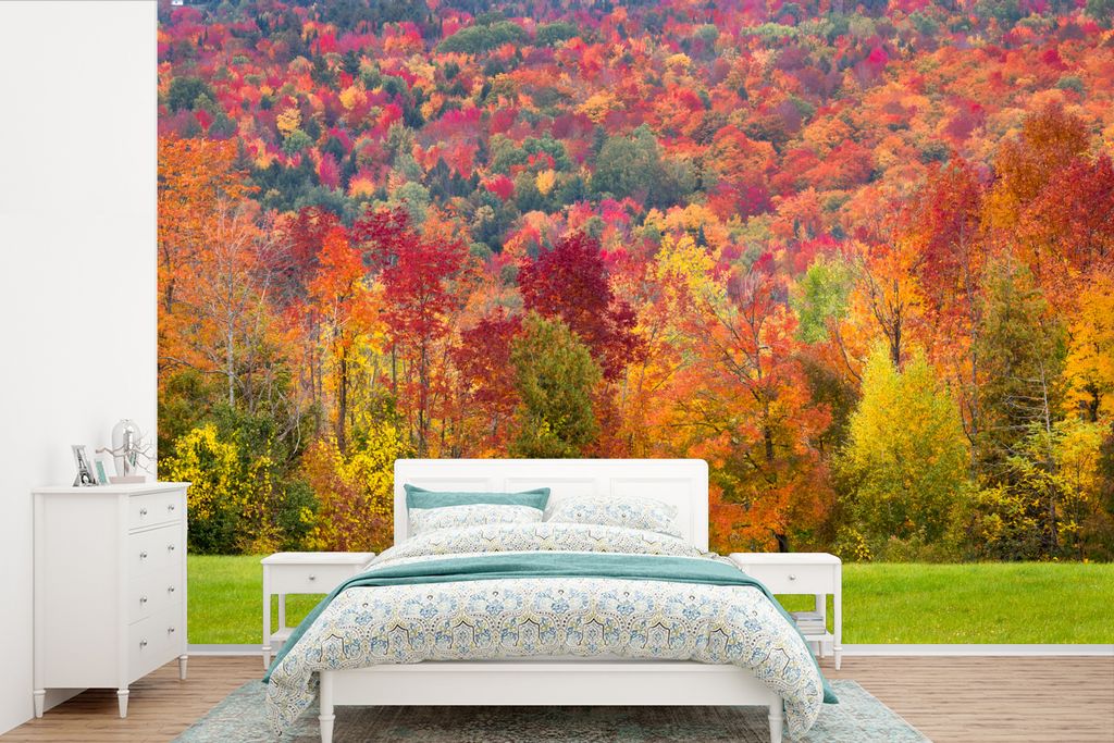 MuchoWow Fototapete für Wohnzimmer oder Schlafzimmer Wandtapete Vinyl Motivtapete Bäume - Orange - Rot - 450x300 cm - Gemusterte