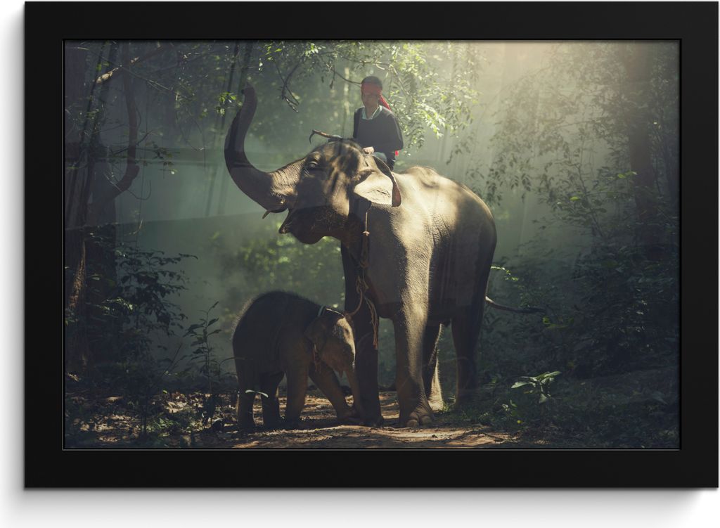 MuchoWow MuchoWow Gerahmtes Poster Elefant - Wald - Bäume - Tiere - Trainer 30x20 cm - Poster mit zchwarzem Bilderrahmen - Kunstdruck - Bild-P...
