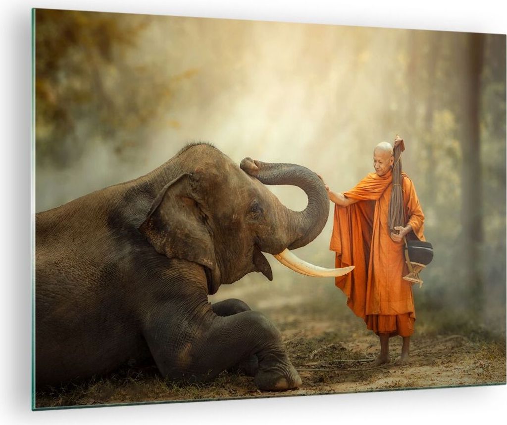 Bilder auf glas - Elefant Mönch Stoßzahn - 70x50cm - Glasbilder - Wandbilder - Kunstdruck - zum Aufhängen bereit - Wanddekoration aus Glas - Gla...