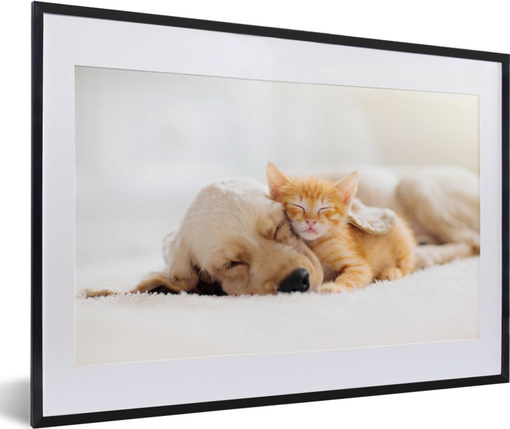 MuchoWow Gerahmtes Poster Tiere - Hund - Kätzchen - Rot 60x40 cm - Poster mit Schwarzem Bilderrahmen Wandposter Rahmen Foto Bilder - Schlafzimme...