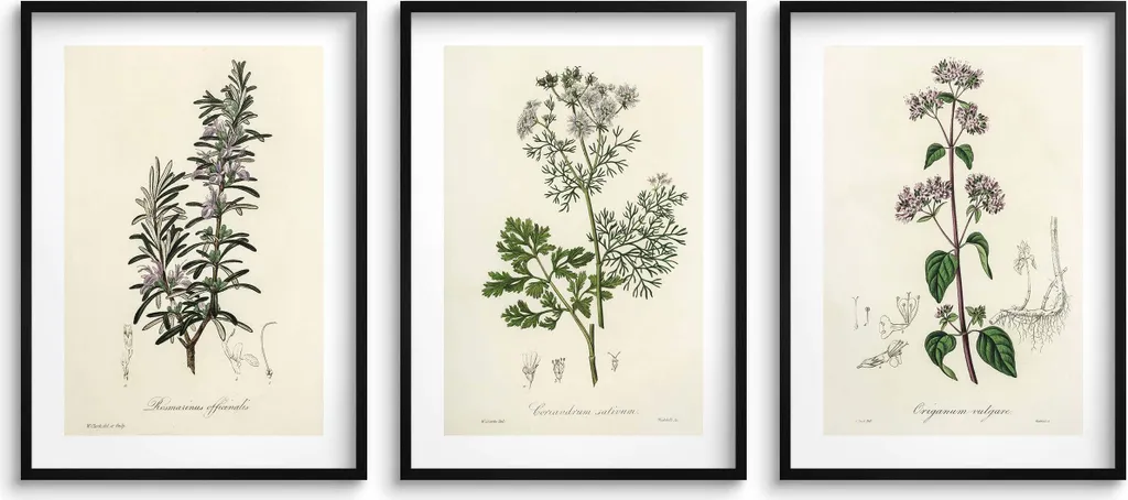 Poster da parete per la cucina, erbe, rami, decorazione, giardino delle erbe 3x 30x40