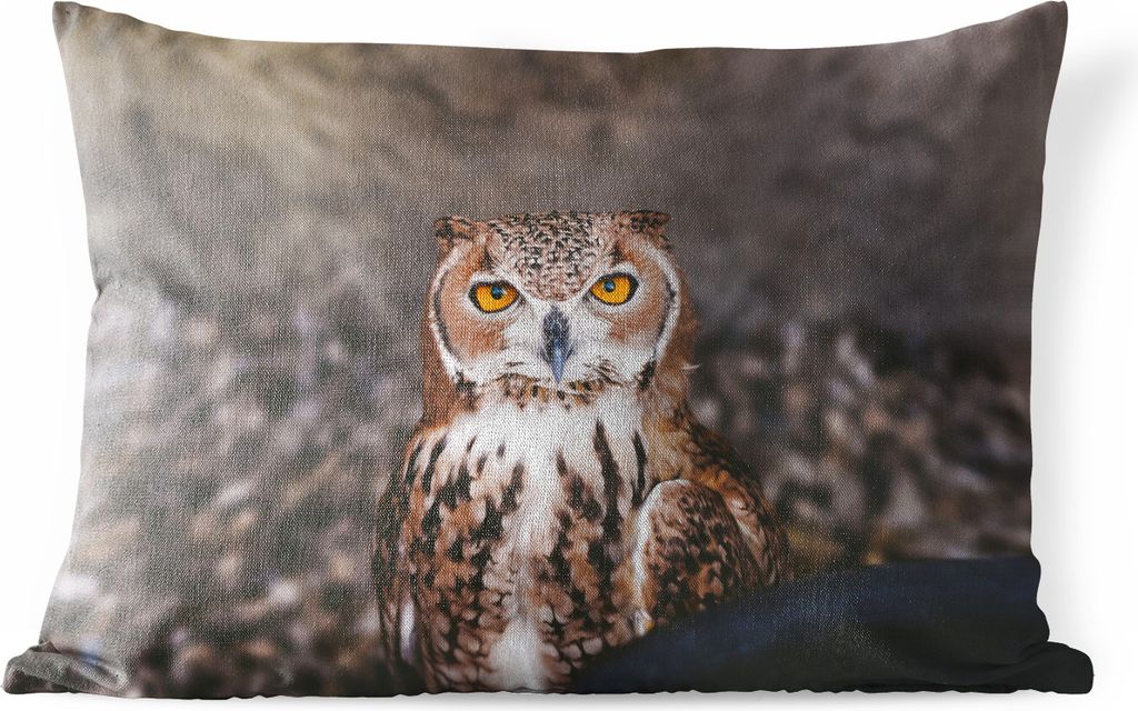MuchoWow Outdoor Kissen - Braune Eule schaut direkt in die Kamera - 60x40 cm - Wetterfest - Lounge Kissen - Zierkissen - Kissen für Innenräume