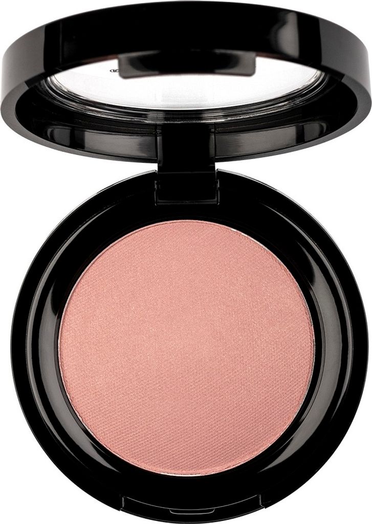 Pierre Rene Professionelles Rouge Puder - Blush für Wangen, Farbton 09, 6g