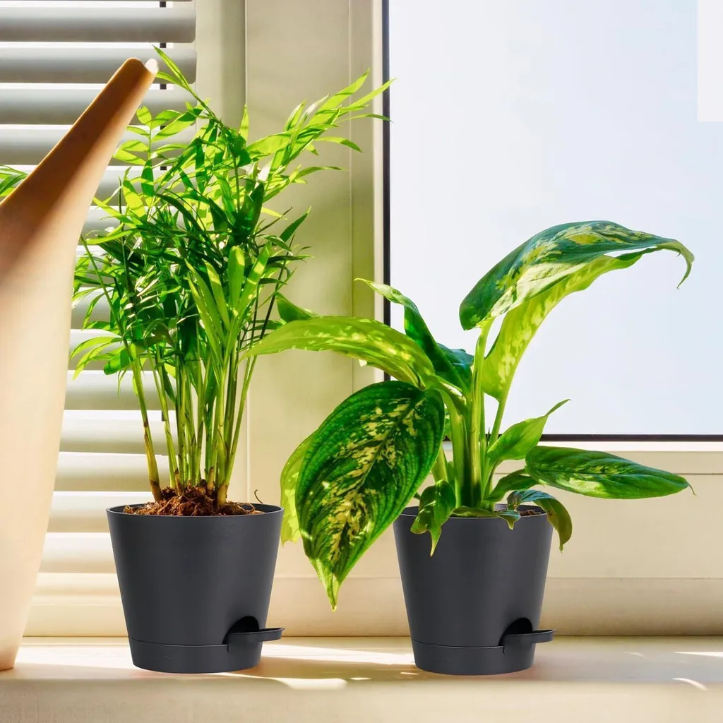 Pots de fleurs avec réserve d'eau Pure Black, lot de 6 pièces multi-tailles