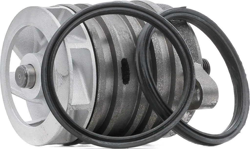 STARK SKWP-0520045 Pompe à Eau OE 070121011A pour T5 et Touareg 7L