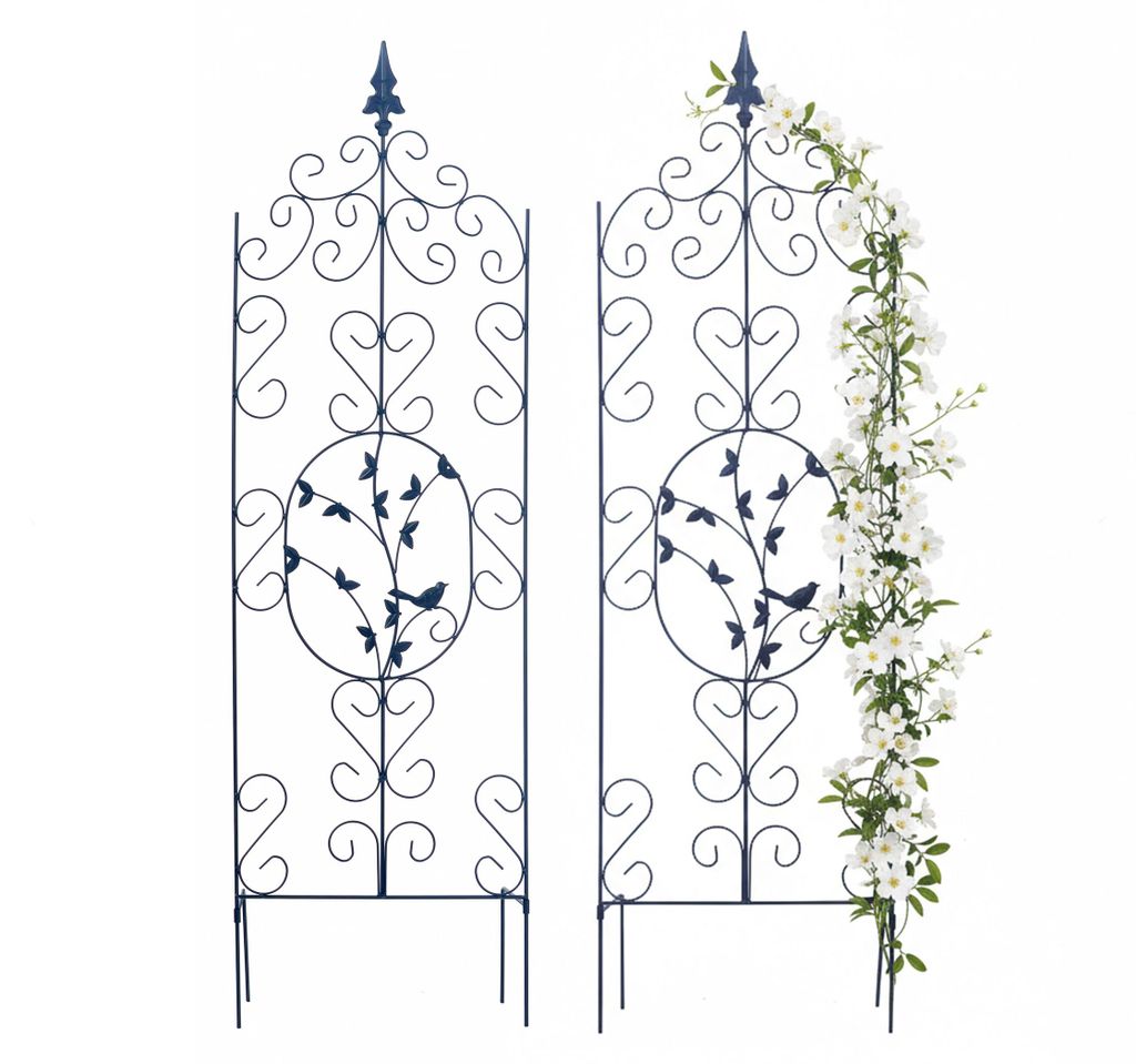 Support pour plantes grimpantes Relaxdays, lot de 2, H x L Image du produit 