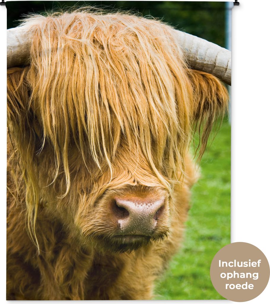 MuchoWow® Wandteppich Wandbehang Schottisches Hochlandrind Produktbild 