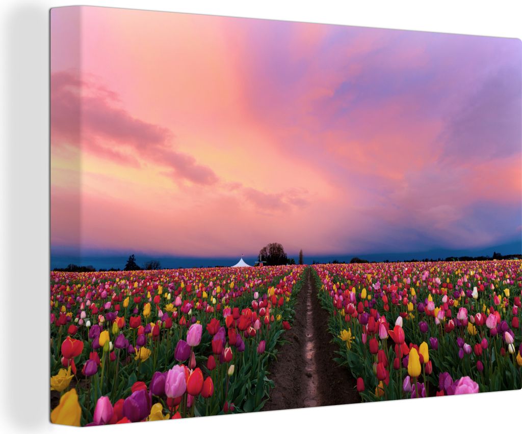 OneMillionCanvasses - Leinwandbilder - 140x90 cm, Die farbenfrohen Tulpenfelder, Wandbilder Kunstdruck Wanddekoration - Foto auf Leinwand - Gemä...