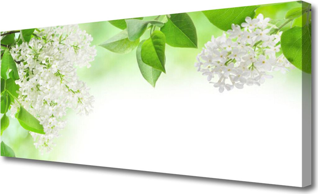 Tulup Leinwand-Bilder 125x50 Wandbild Canvas Kunstdruck Blumen Blätter Pflanzen