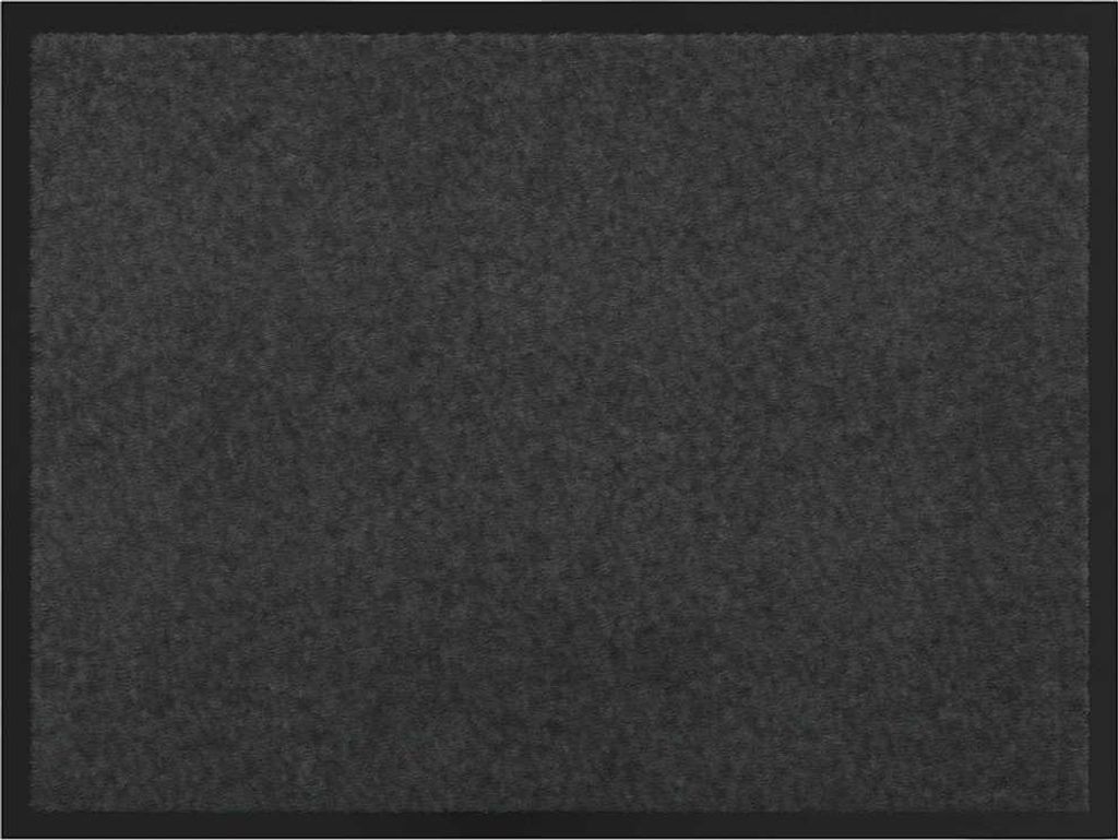 vidaXL Fußmatte Anthrazit 80 x 60 x 1,2 cm Teddystoff