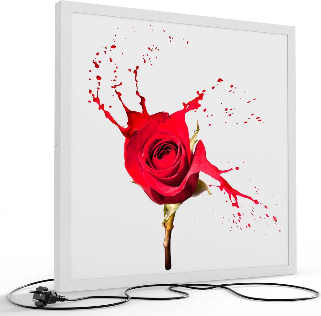 DEQORI LED-Bild & Lampe 60x60 cm Weiß 'Zerfließende Rosenblüte' Leuchtbild LED Leuchte