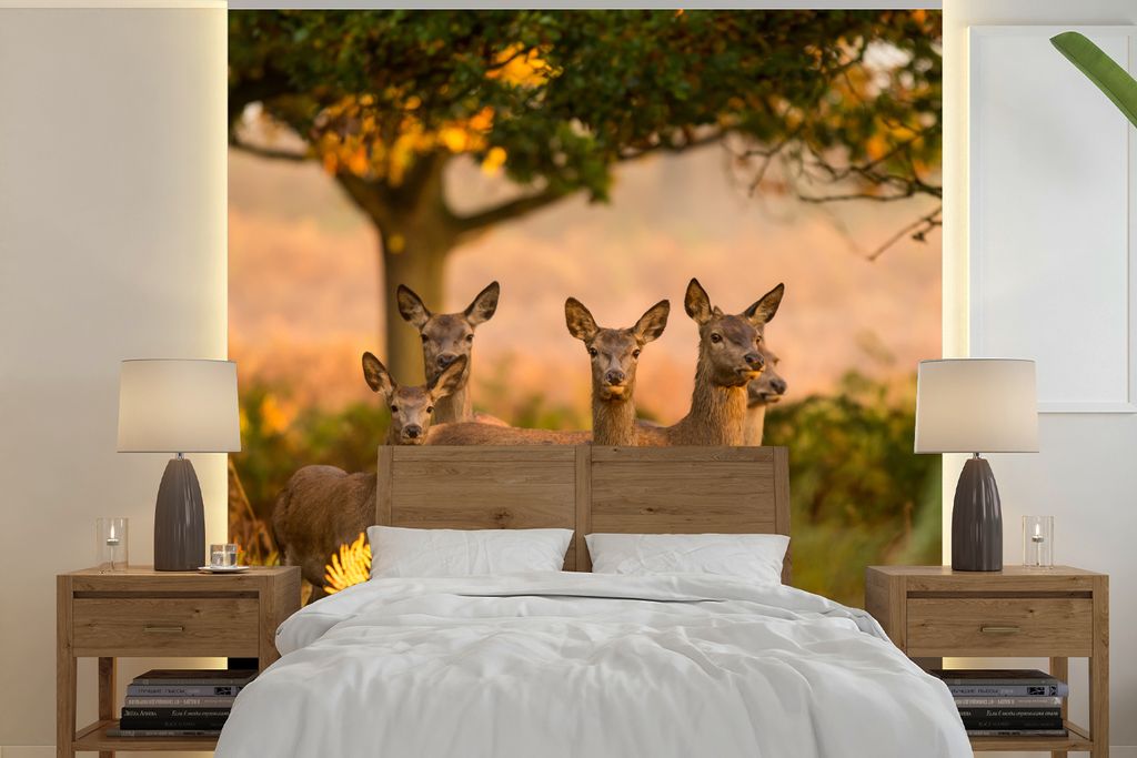 MuchoWow Fototapete für Wohnzimmer oder Schlafzimmer Wandtapete Vinyl Motivtapete Waldtiere - Hirsche - Licht - 220x220 cm - Tapeten
