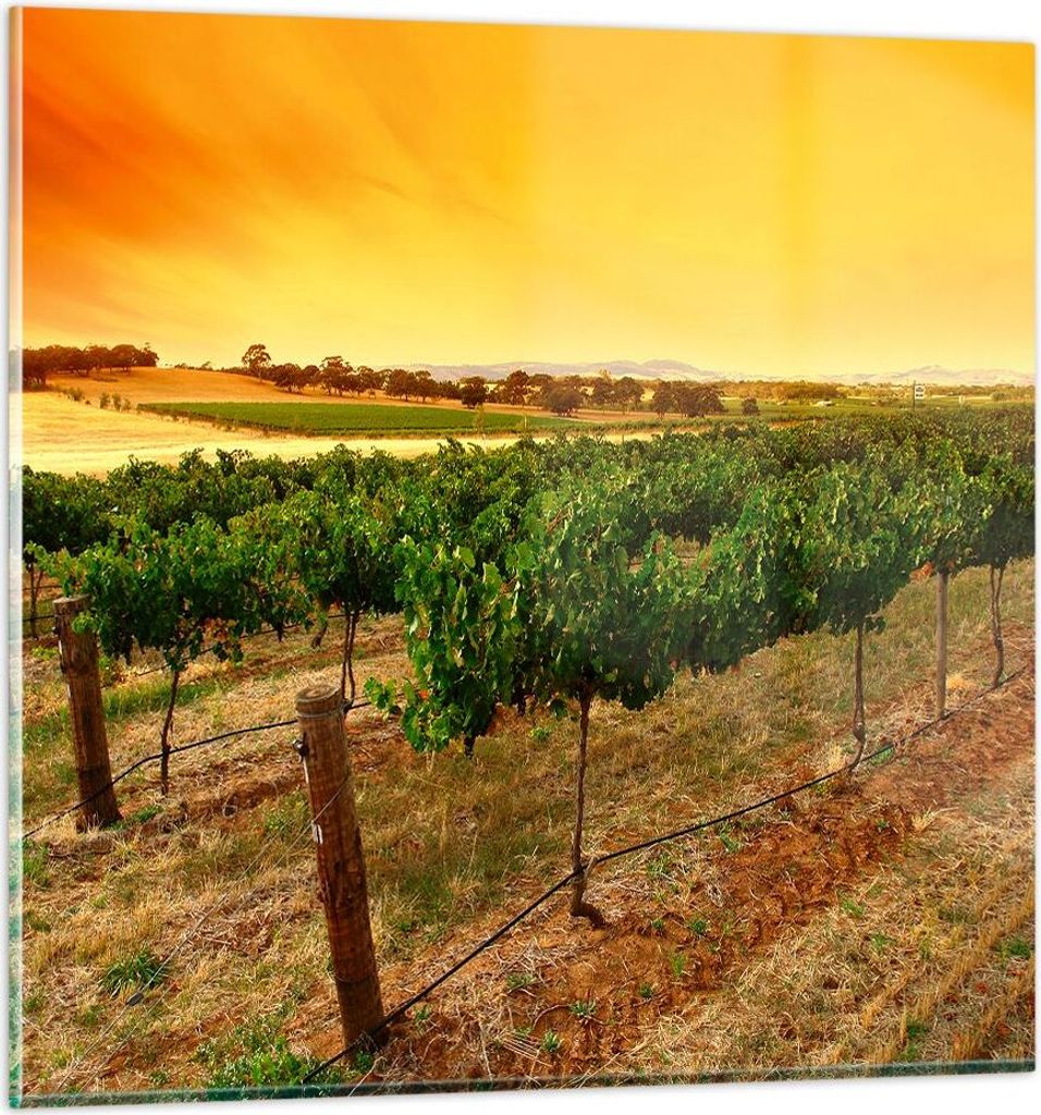 Bilder auf glas - Landschaft Weinberg Sonnenuntergang - 60x60cm - Glasbilder - Wandbilder - Kunstdruck - Wanddekoration aus Glas - Glas Bilder - Wa...