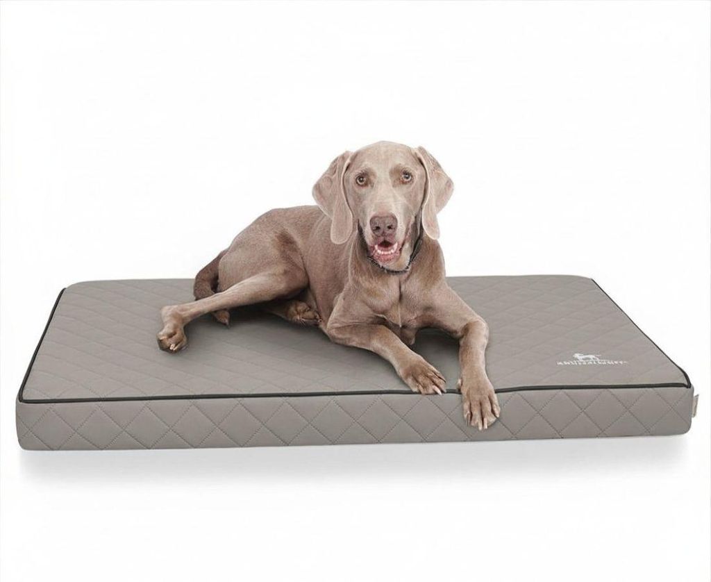 Knuffelwuff Orthopädische Hundematte Juna aus Produktbild 