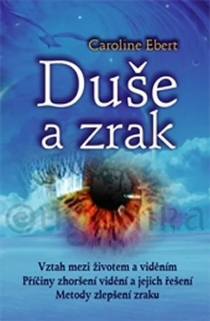 Livre illustré Duše a zrak broché 208 pages psychologie et vision saine