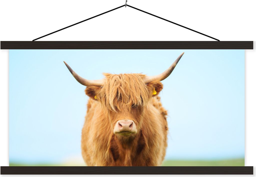 MuchoWow Textilposter Schottisches Hochlandrind - Haare - Gras 60x30 cm mit schwarzem Rahmen - Textilien