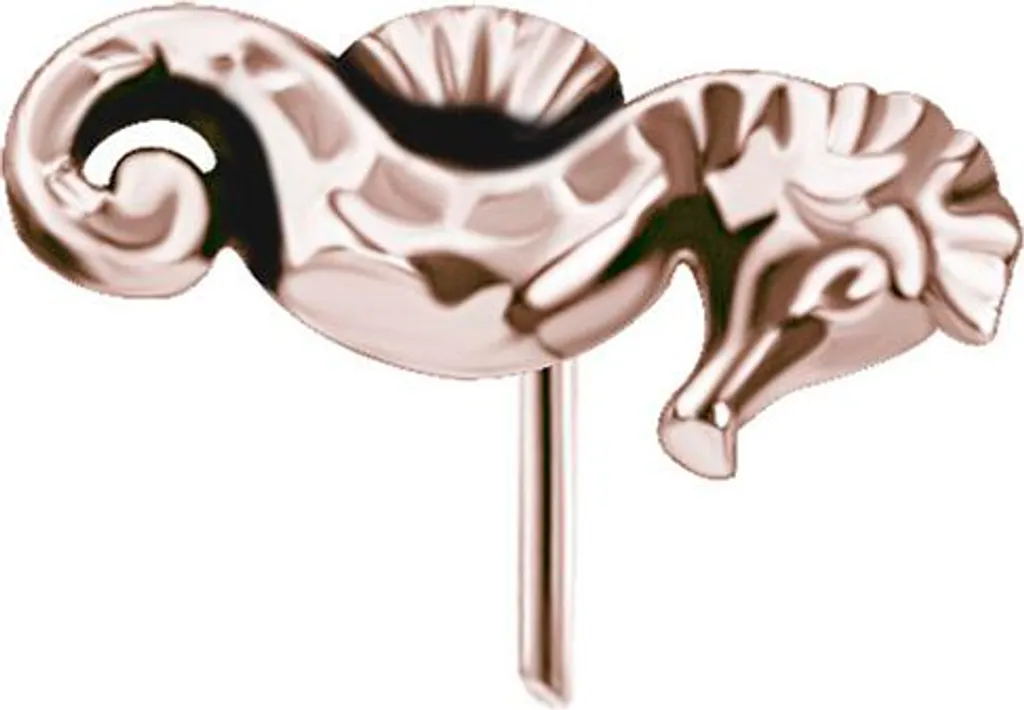 Embout de Piercing Hippocampe Or Rose PI-030 - Idéal pour Hélix et Tragus