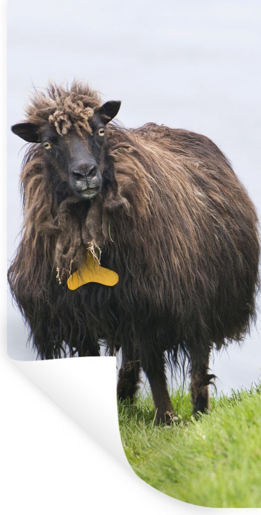 MuchoWow Wandtattoo Wandsticker Wandaufkleber Schafe - Braun - Meer 60x120 cm Selbstklebend und Repositionierbar - Selbstklebend - Fototapeten