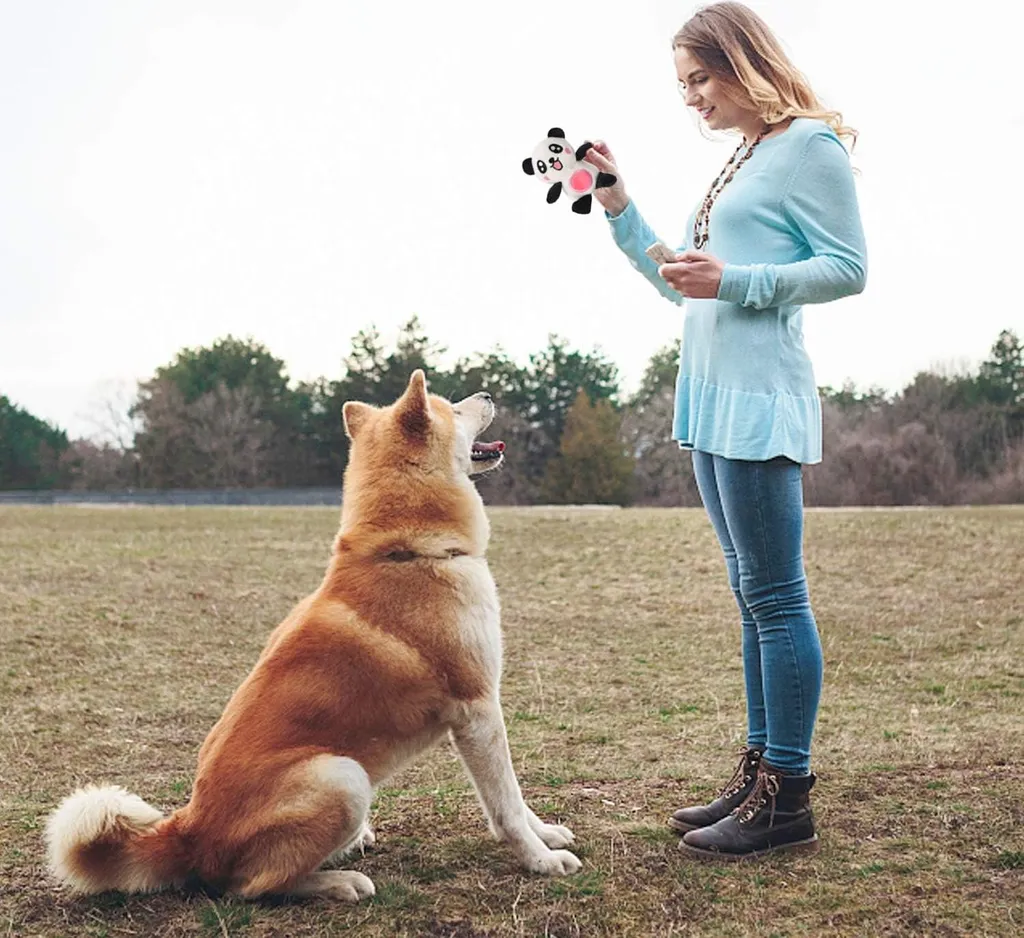 Jouets à mordiller pour chiots : set de 6 animaux en peluche avec sifflet - 4