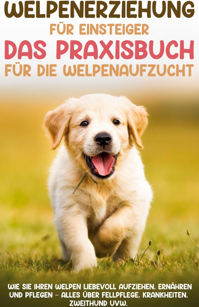 Welpenerziehung für Einsteiger - Das Praxisbuch für die Welpenaufzucht: Wie Sie Ihren Welpen liebevoll aufziehen, ernähren und pflegen - alles ...
