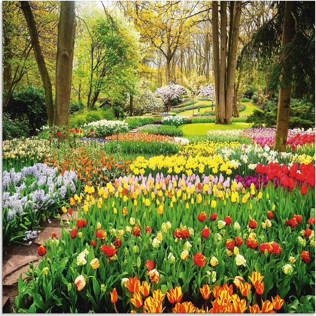 ARTland Glasbild Tulpen Garten Frühling Größe: 20x20 cm