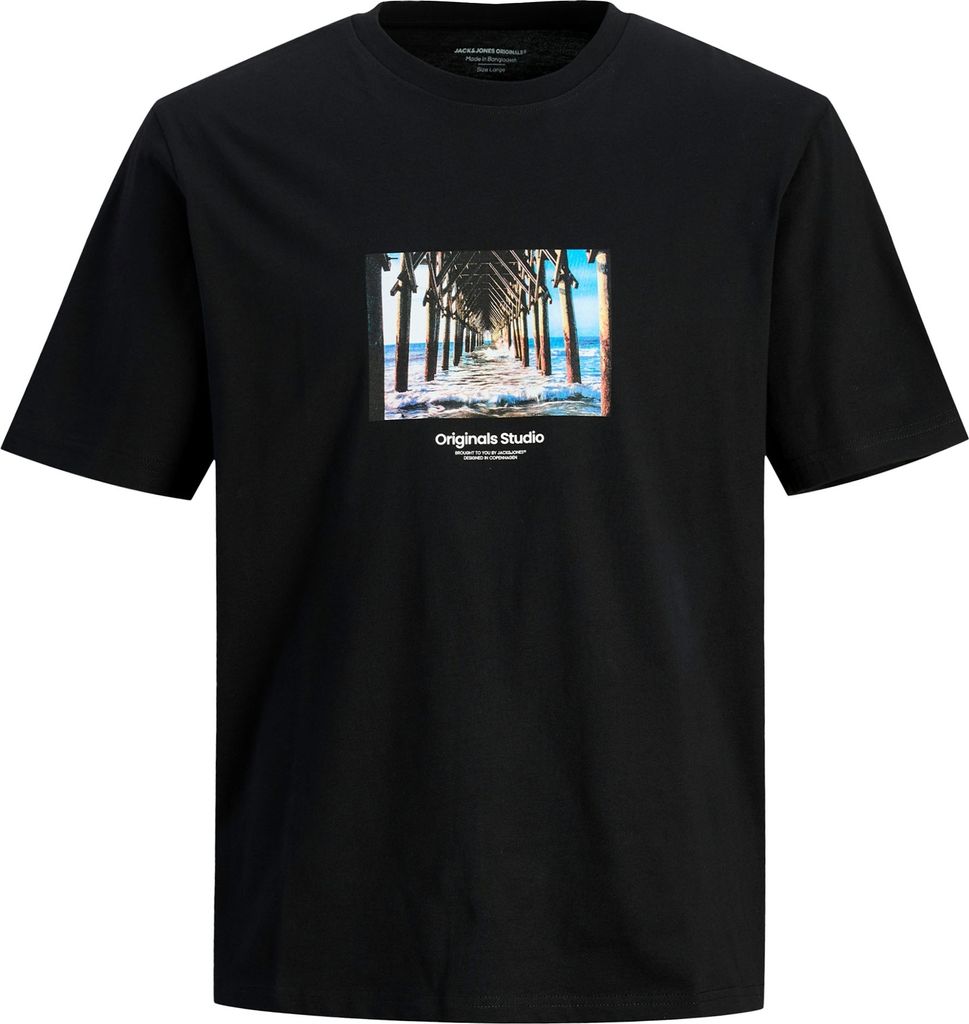 JACK & JONES Herren T-Shirt JORVESTERBRO Picture Tee