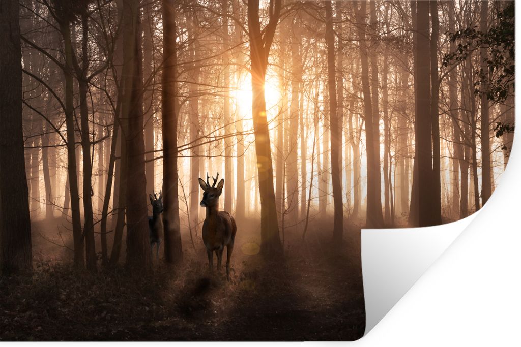MuchoWow Wandtattoo Wandsticker Wandaufkleber Wald - Hirsche - Sonne - Bäume - Winter - Natur - Tiere 120x80 cm Selbstklebend und Repositionierb...