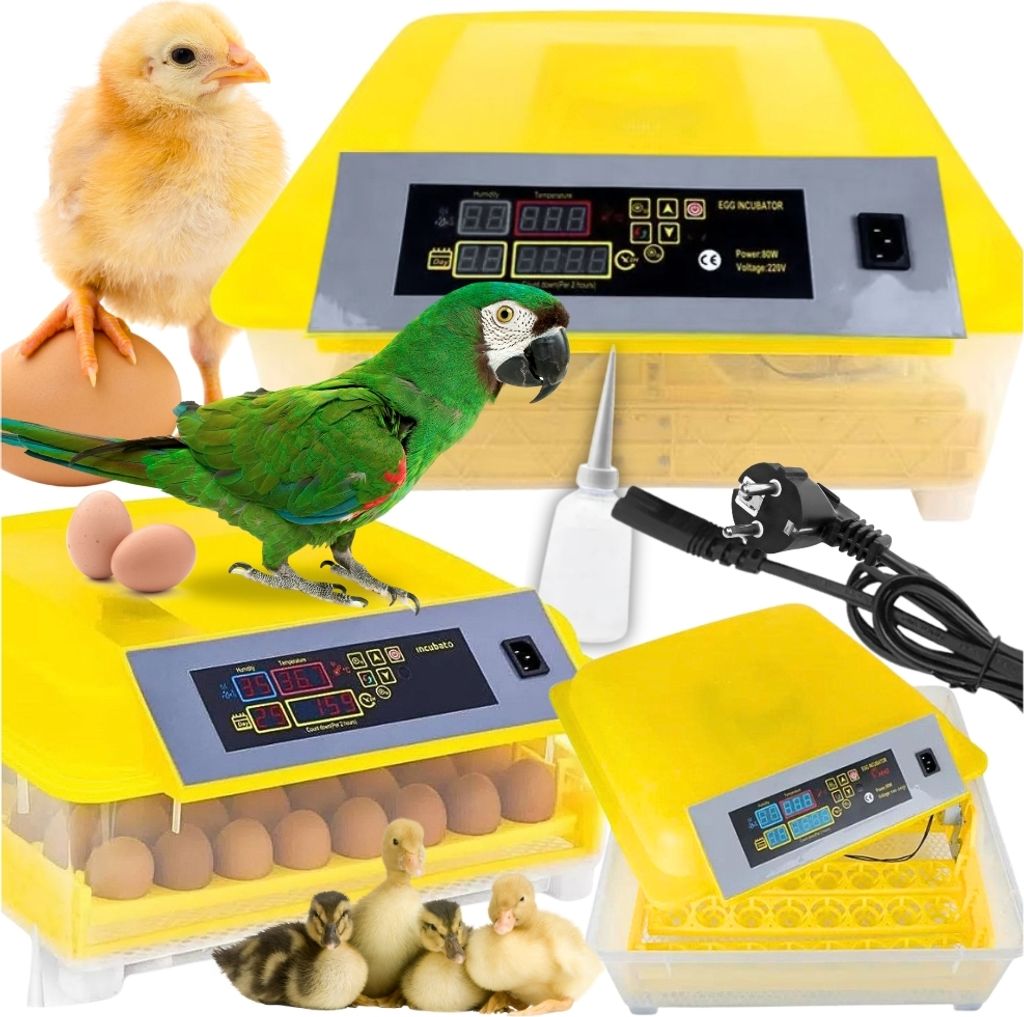 Automatický inkubátor, liahňa a odchovňa pre chov hydiny, Obrázok produktu 