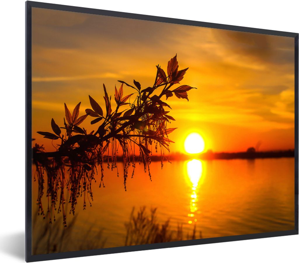 MuchoWow Gerahmtes Poster Sonnenuntergang - Wasser - Pflanzen - Orange 40x30 cm - Poster mit Schwarzem Bilderrahmen Wandposter Rahmen Foto Bilder...