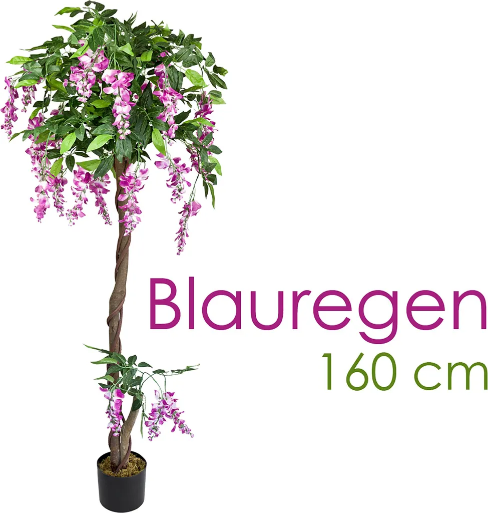 Plante Artificielle Glycine 160cm en Bois Véritable et Fleurs de Soie