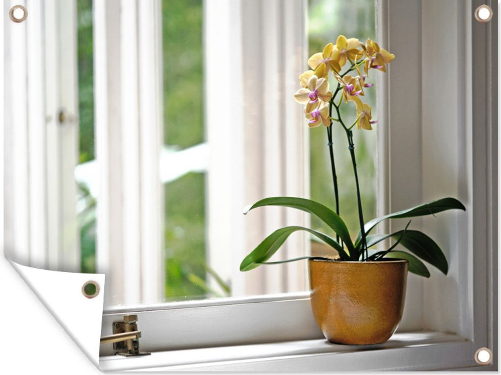 MuchoWow 40x30 cm Outdoor-Poster Gartendeko Sichtschutz Garten Poster für den Garten Die Orchideen in einem Blumentopf vor dem Fenster