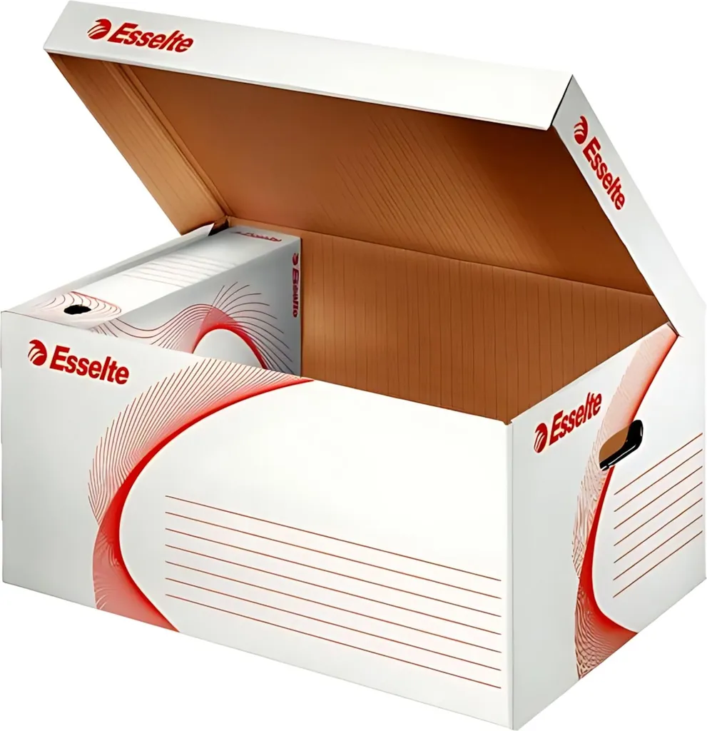 Boîte de rangement archives A4 Esselte pour organisation bureau et stock
