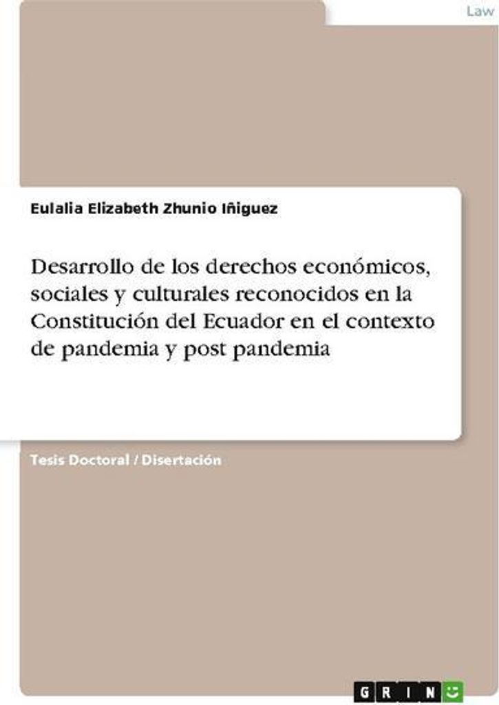 Entwicklung der in der ecuadorianischen Verfassung anerkannten wirtschaftlichen, sozialen und kulturellen Rechte im Kontext von Pandemie- und Post-...