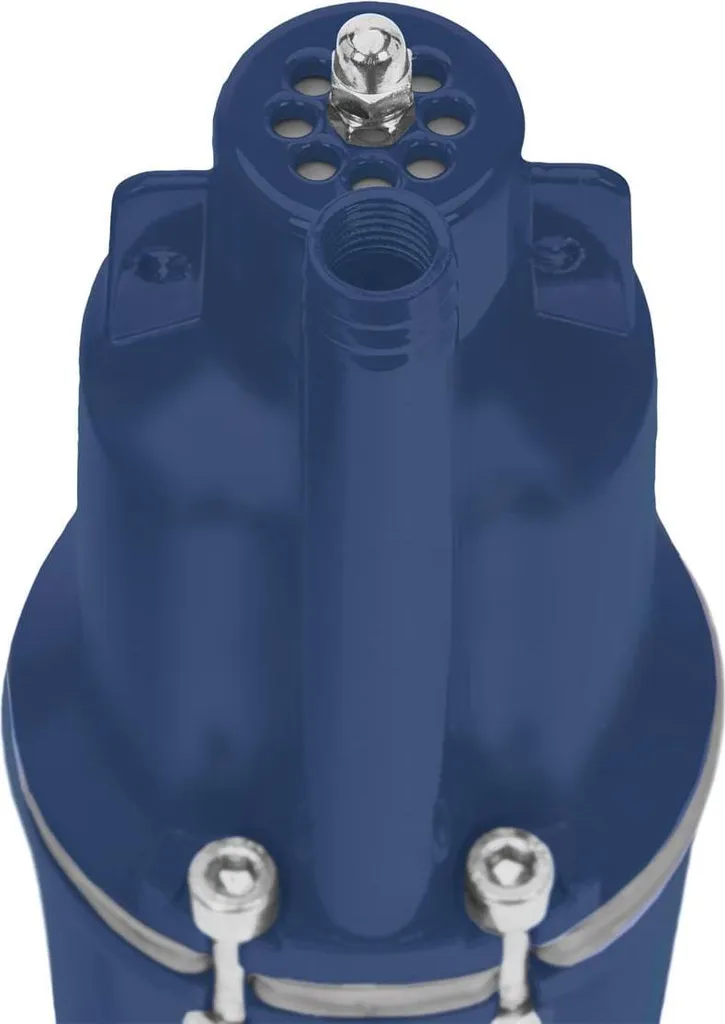 Pompe de puits WDS2600 600W idéale pour l'arrosage automatique du potager