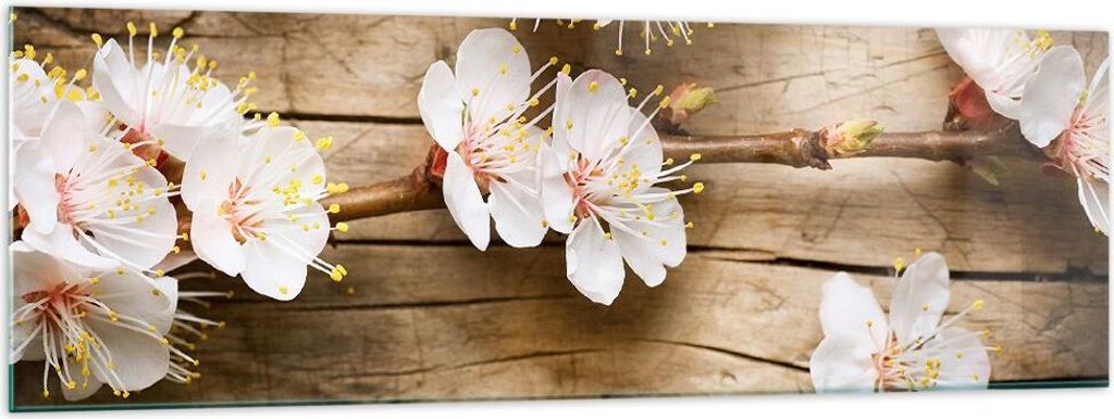 Bilder auf glas - Blume Stängel - 160x50cm - Glasbilder - Wandbilder - Kunstdruck - zum Aufhängen bereit - Wanddekoration aus Glas - Glas Bilder ...