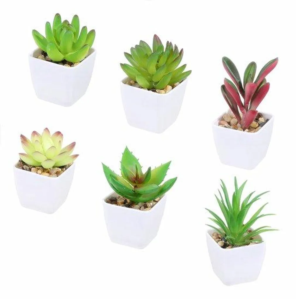 Décoration végétale artificielle miniature pour petit appartement et studio