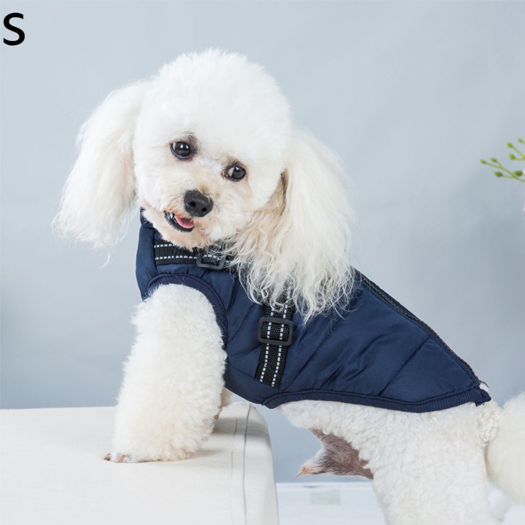Winter-Haustier-Hundejacke mit Geschirr Winter-warme Hundekleidung für Labrador Wasserdichter Mantel für große Hunde Chihuahua Outfits, S, Navy ...