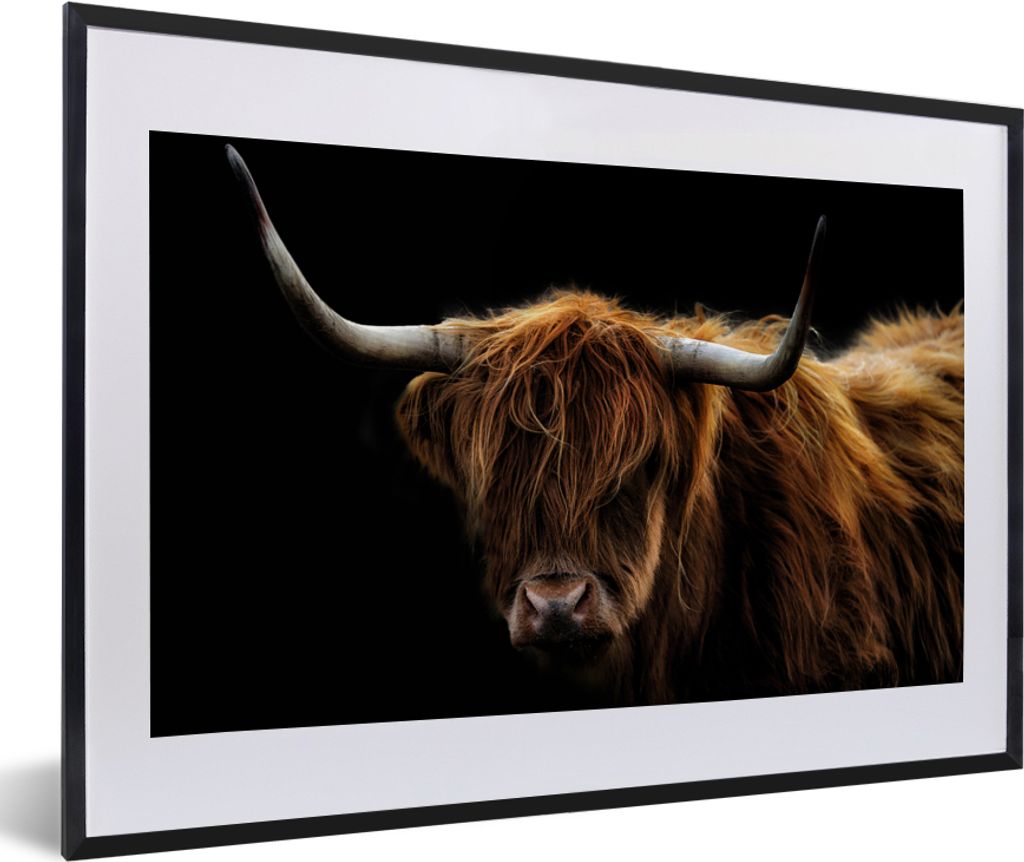 MuchoWow Gerahmtes Poster Schottischer Highlander - Hörner - Schwarz - Tiere - Natur - Wild - Kuh 60x40 cm - Poster mit Schwarzem Bilderrahmen W...