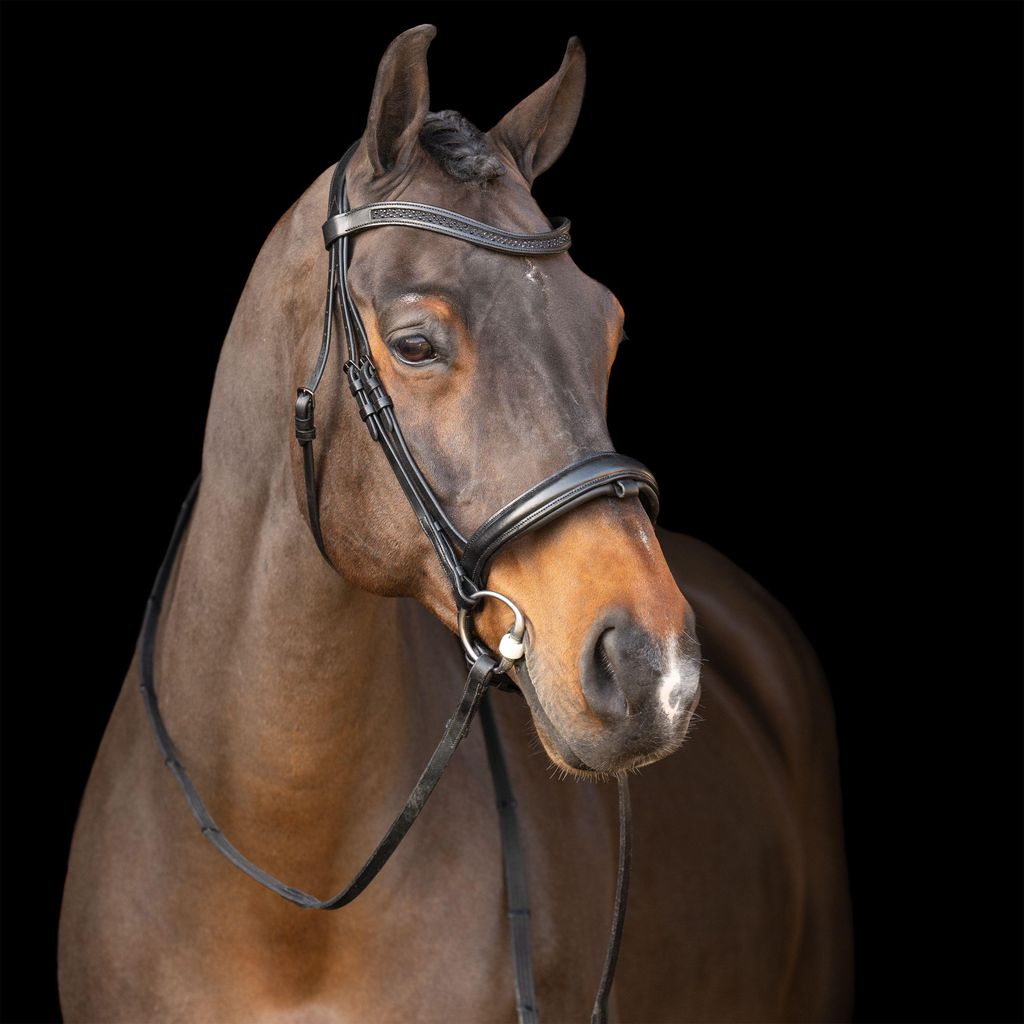 Imperial Riding Trensenzaum Englisches Reithalfter black-black mit Strass Stirnriemen, Größe:Cob