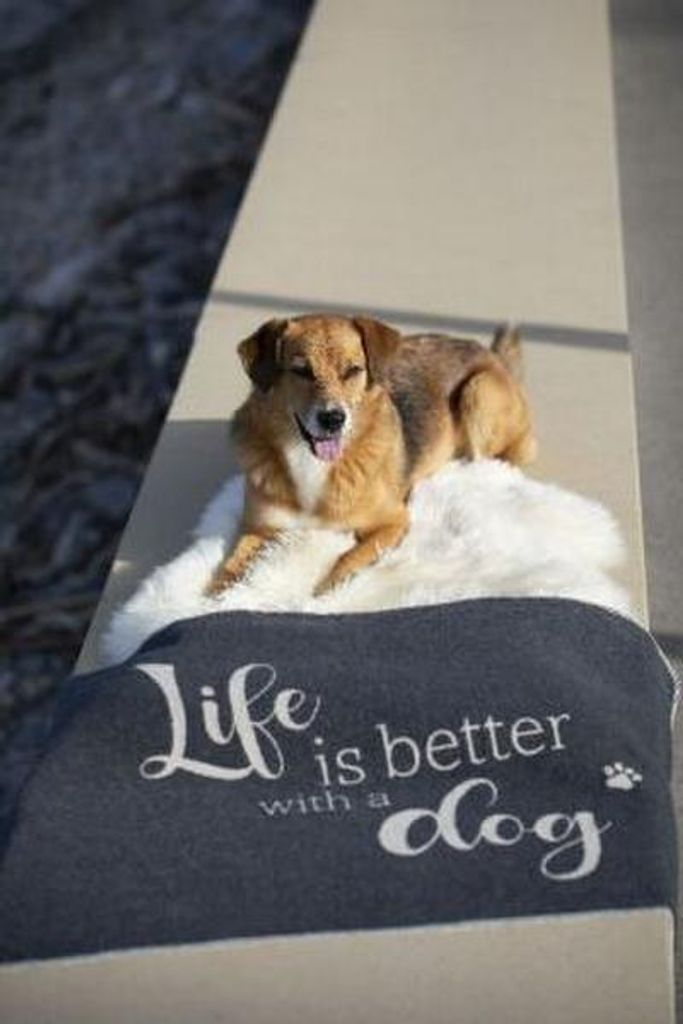 David Fussenegger Hundedecke 'life is better' 70 x 90 cm Anthrazit
