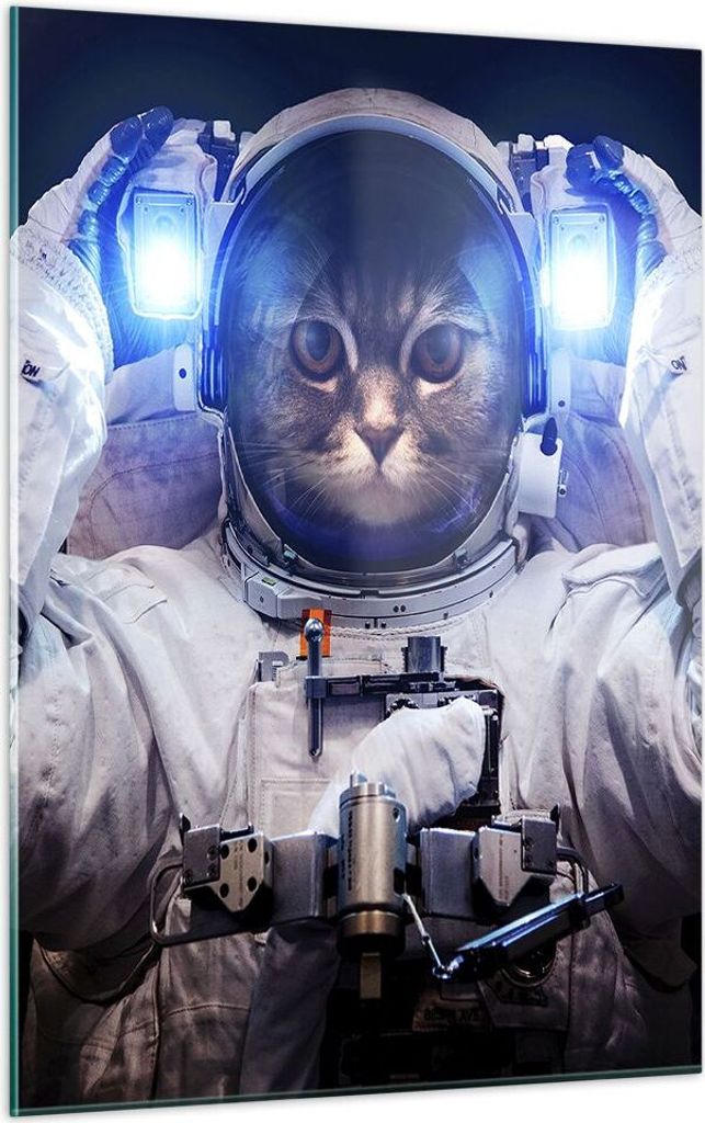 Bilder auf glas - Einteilig - Kosmonaut Katze - 50x70cm - Glasbilder - Wandbilder - Bilder - zum Aufhängen bereit - Wanddekoration aus Glas - Glas...
