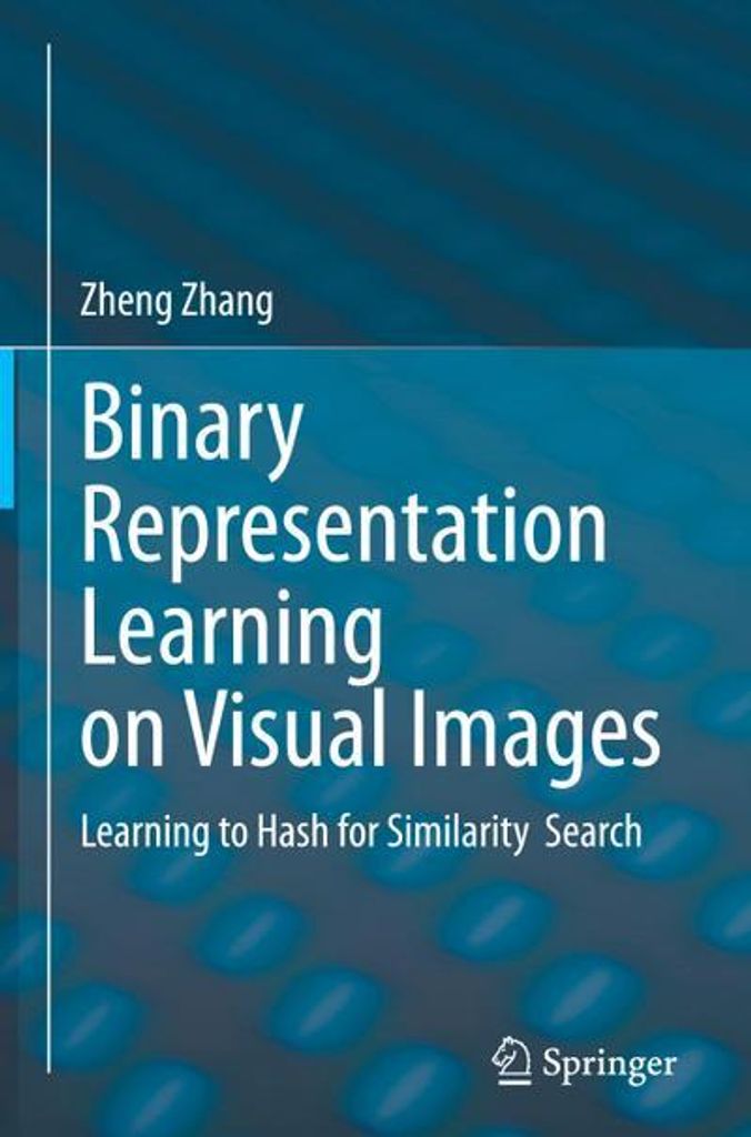 Binary Representation Learning on Visual Images