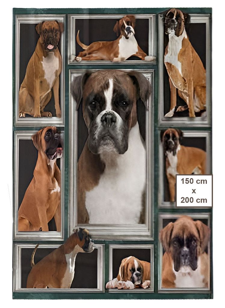 Microplüsch-Warmdecke 150x200 cm - Boxer/2